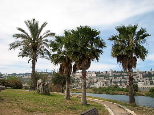 Kishon River